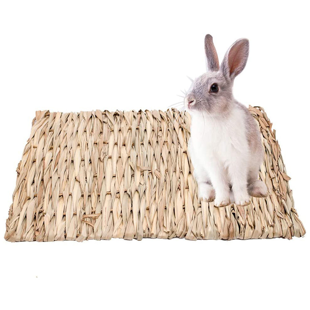 Straw Woven Pet Chew Mat