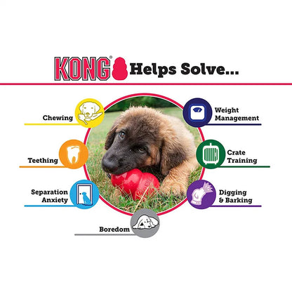 KONG Puppy Chew Toy