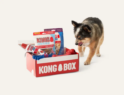 KONG BOX For Puppy (2-9kg)