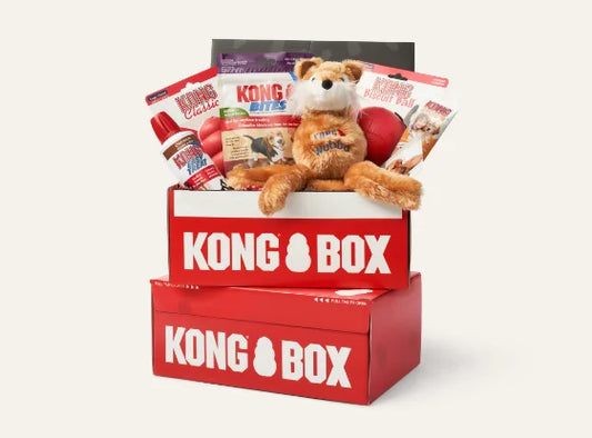 KONG BOX For Puppy (2-9kg)