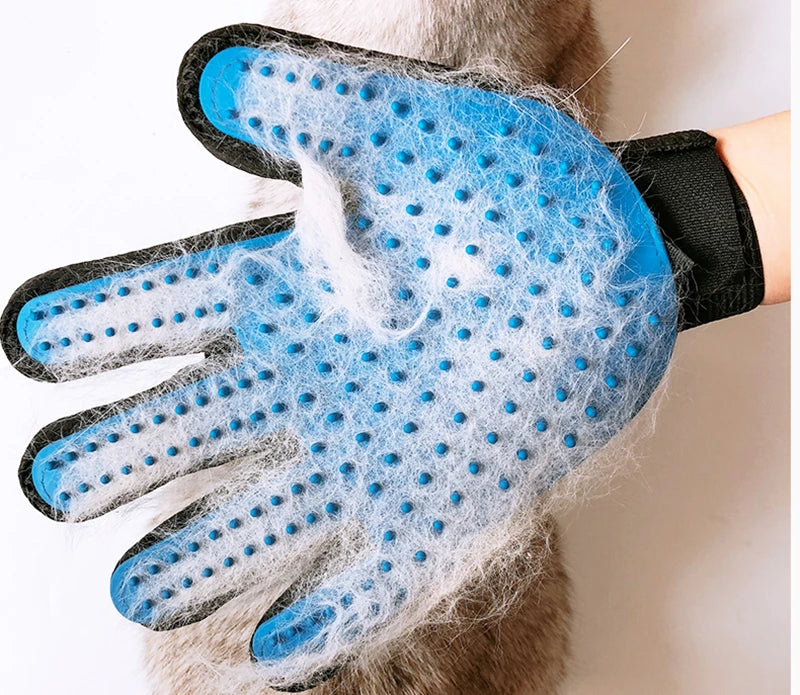 Pet Glove Grooming