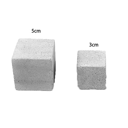 Natural Mineral Teeth Molar