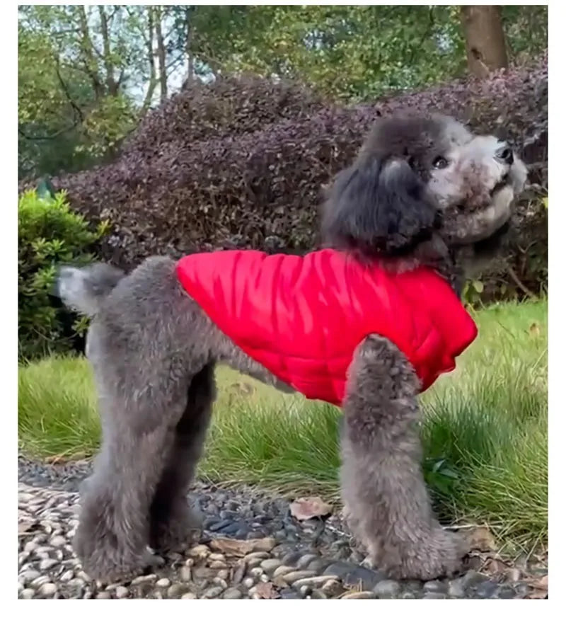 Double Sided Dog Coat