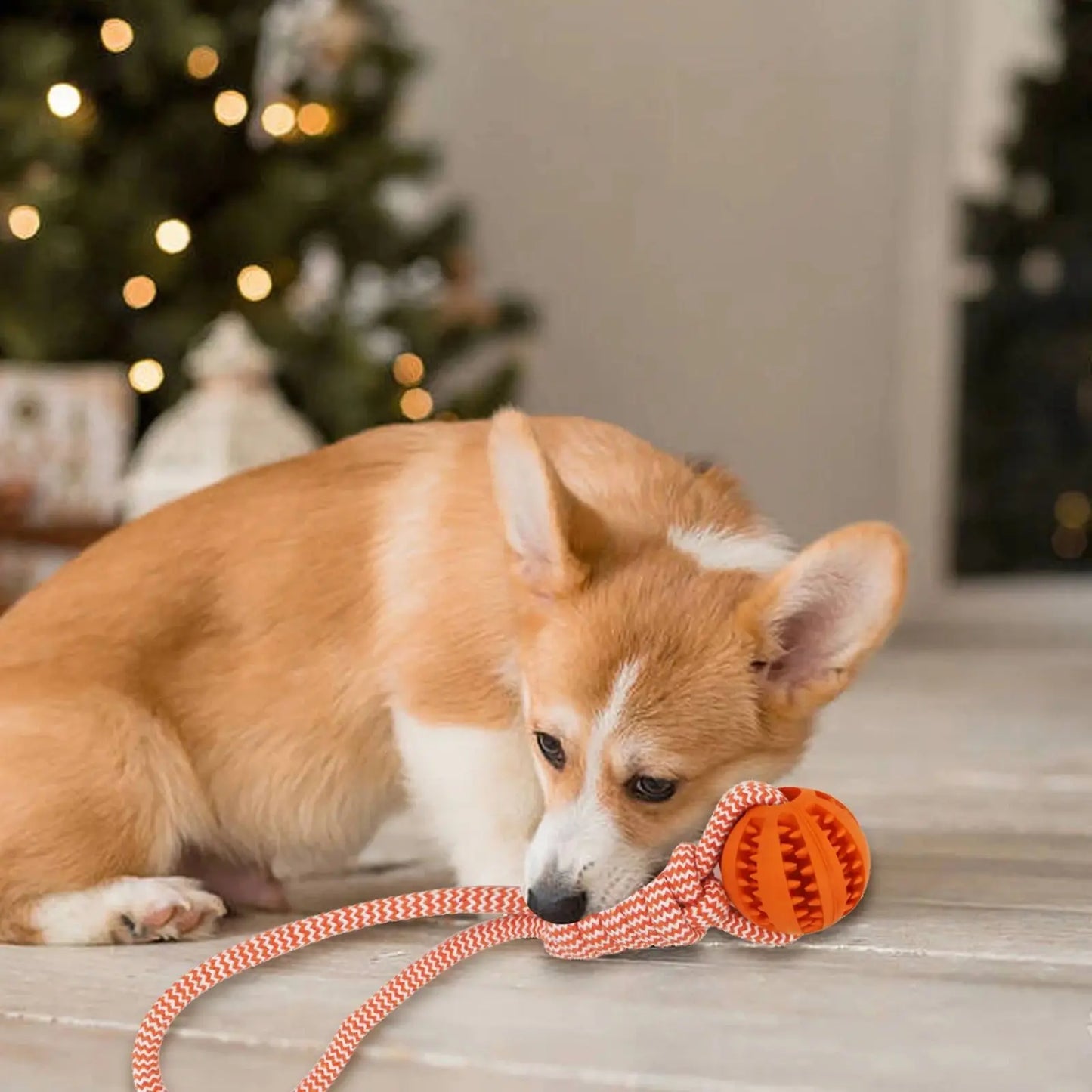 Dog Tooth Cleaning Chewing Treat Ball