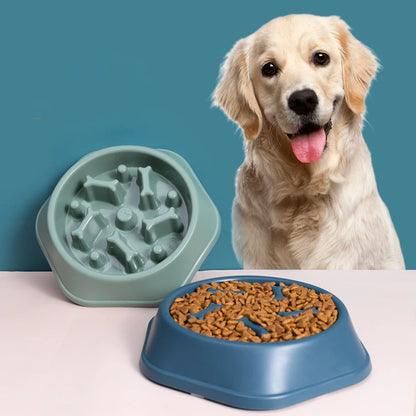 Pet Slow Feeding Bowl