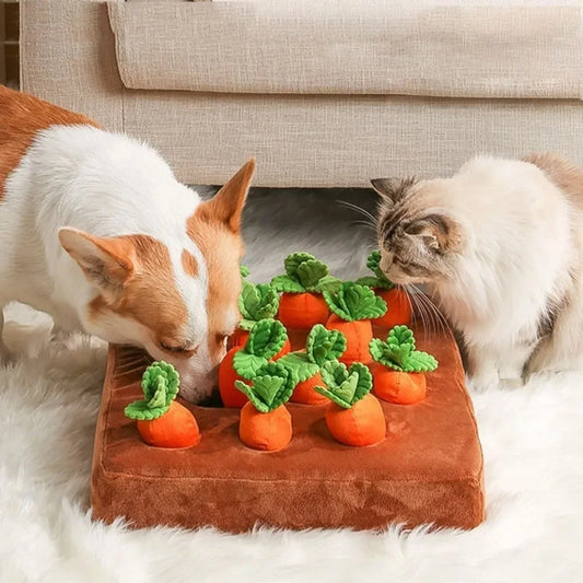 Carrot Snuffle Mat