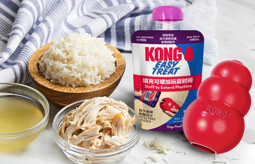 KONG  Dog Treat Paste