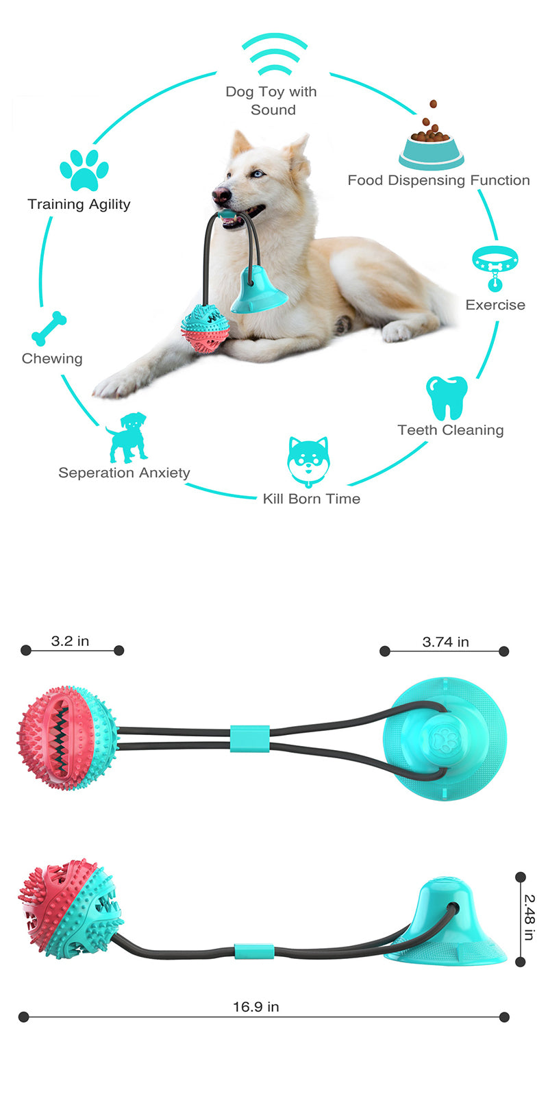 Suction Cup with ball