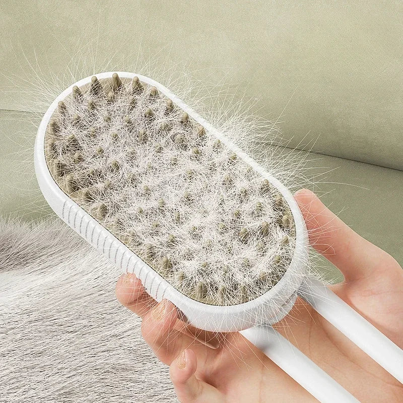 Steam Brush