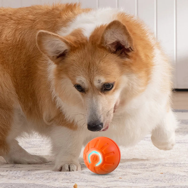 Automatic Moving and Jumping Toy Ball