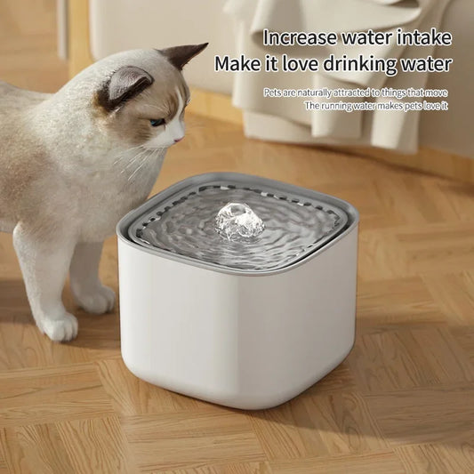 Cat Water Fountain