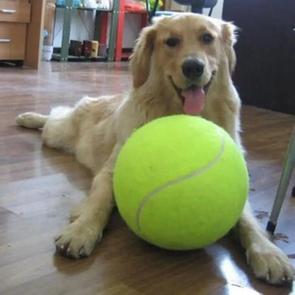 Riesiger Tennisball für Hunde