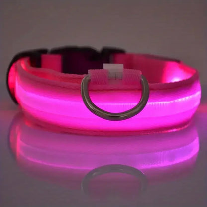 Glow In The Dark Dog Leash