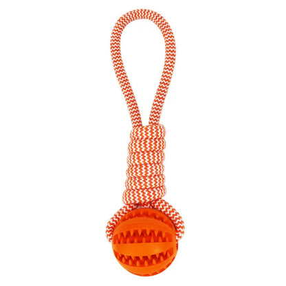 Dog Tooth Cleaning Chewing Treat Ball