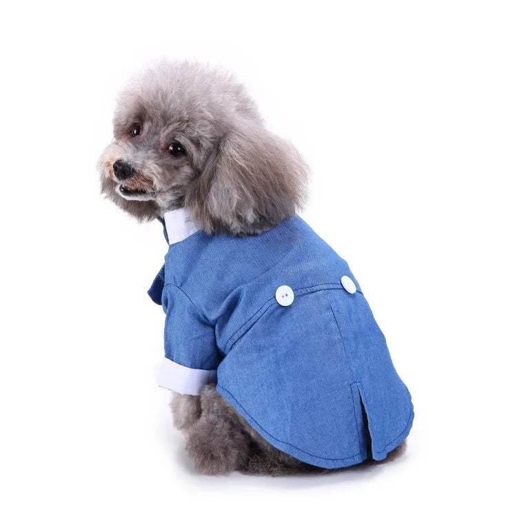 chic dog suit