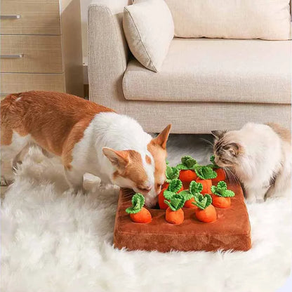 Carrot Snuffle Mat