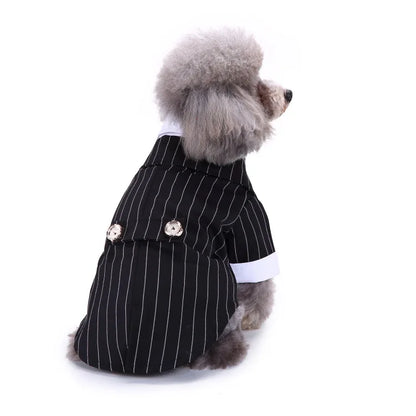 chic dog suit