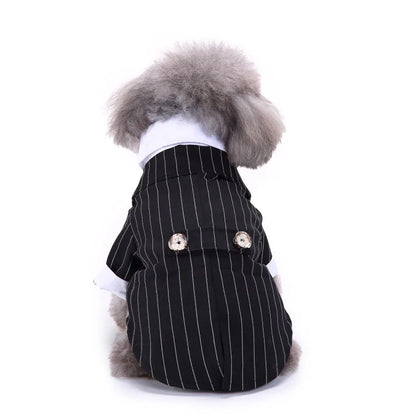 chic dog suit