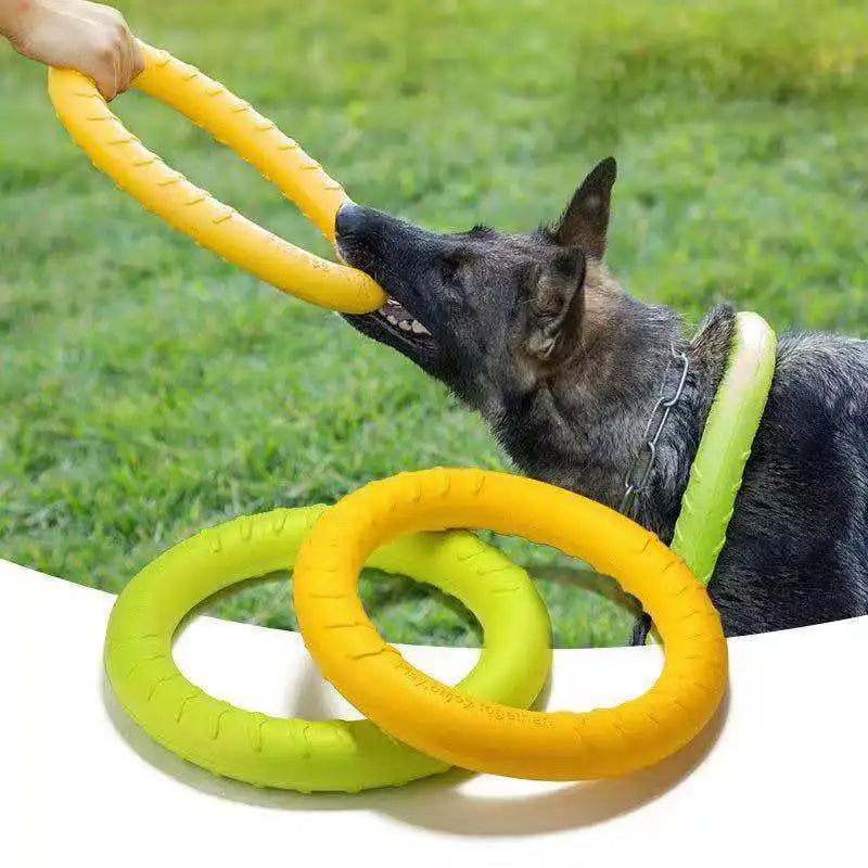 Dog Aggressive Chewing Ring