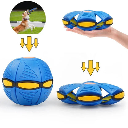 Interactive Throwing Ball