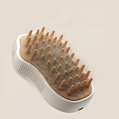 Steam Brush