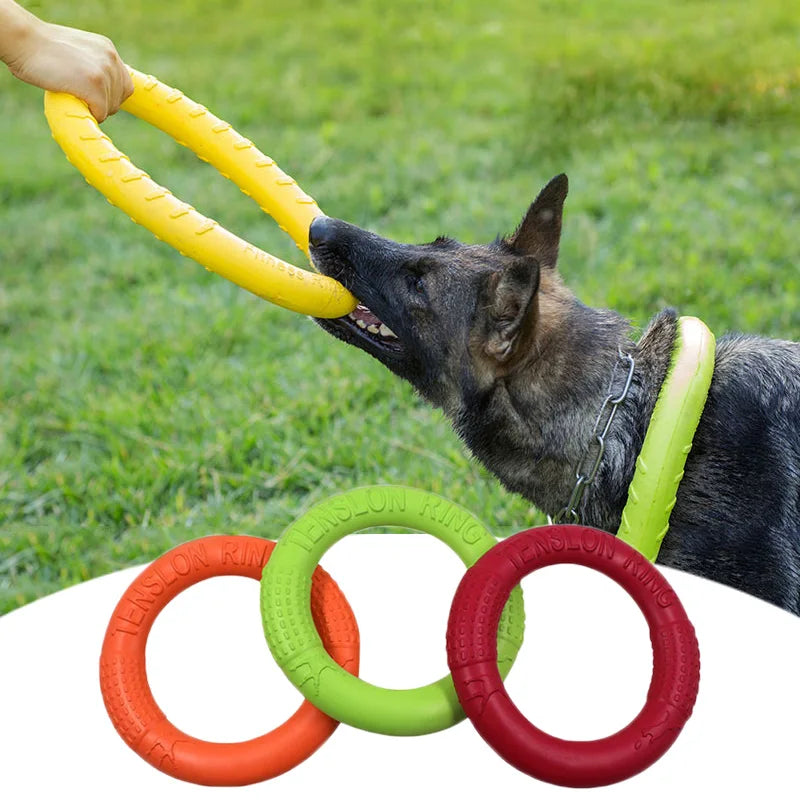 Dog Aggressive Chewing Ring