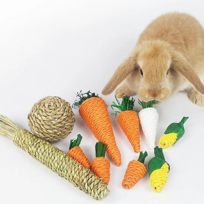 Rabbit Chew Toy