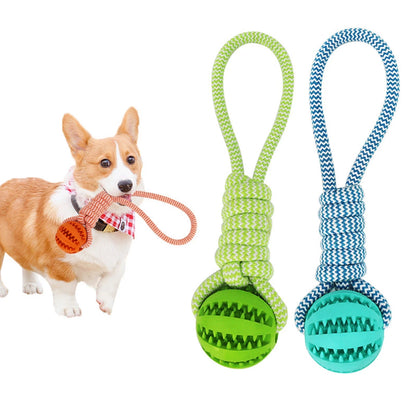 Dog Tooth Cleaning Chewing Treat Ball