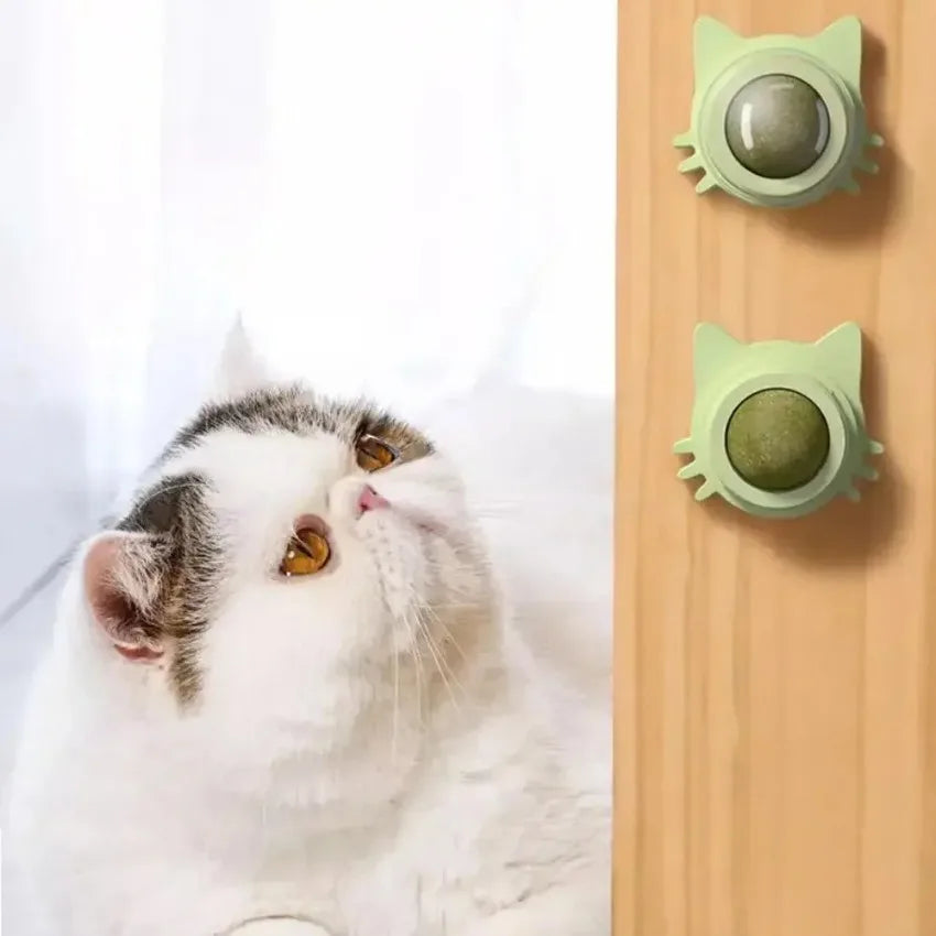 Catnip Balls