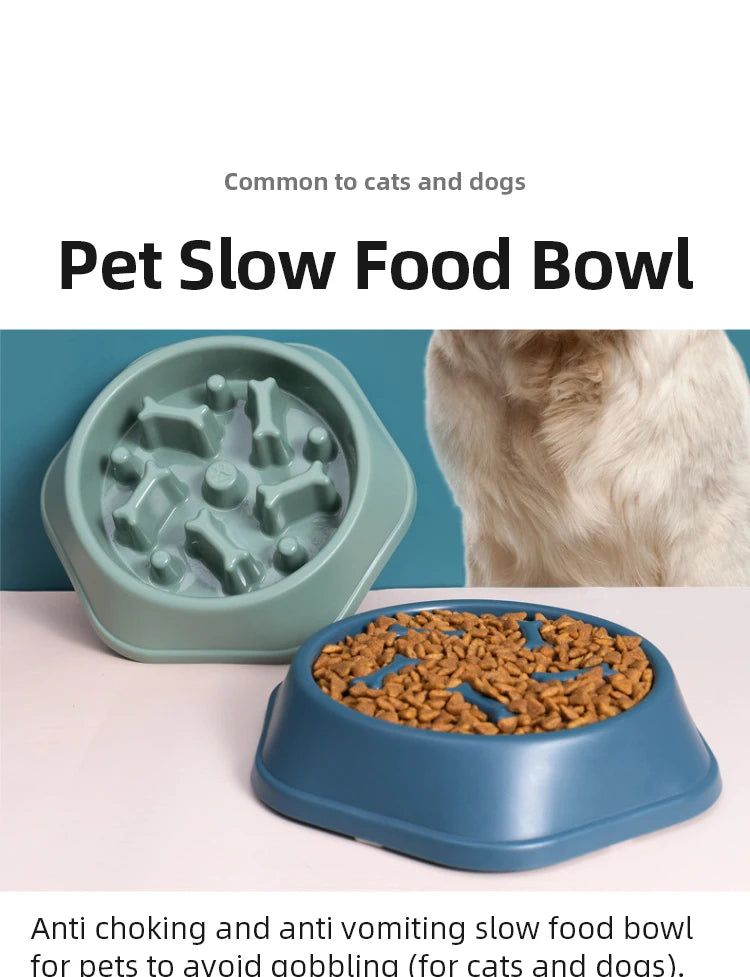 Pet Slow Feeding Bowl