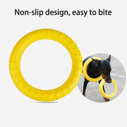 Dog Aggressive Chewing Ring