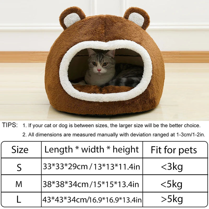 Funny Cat Bed